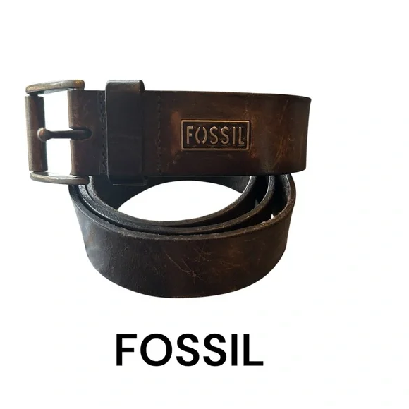 Fossil Belt - Picture 1 of 4